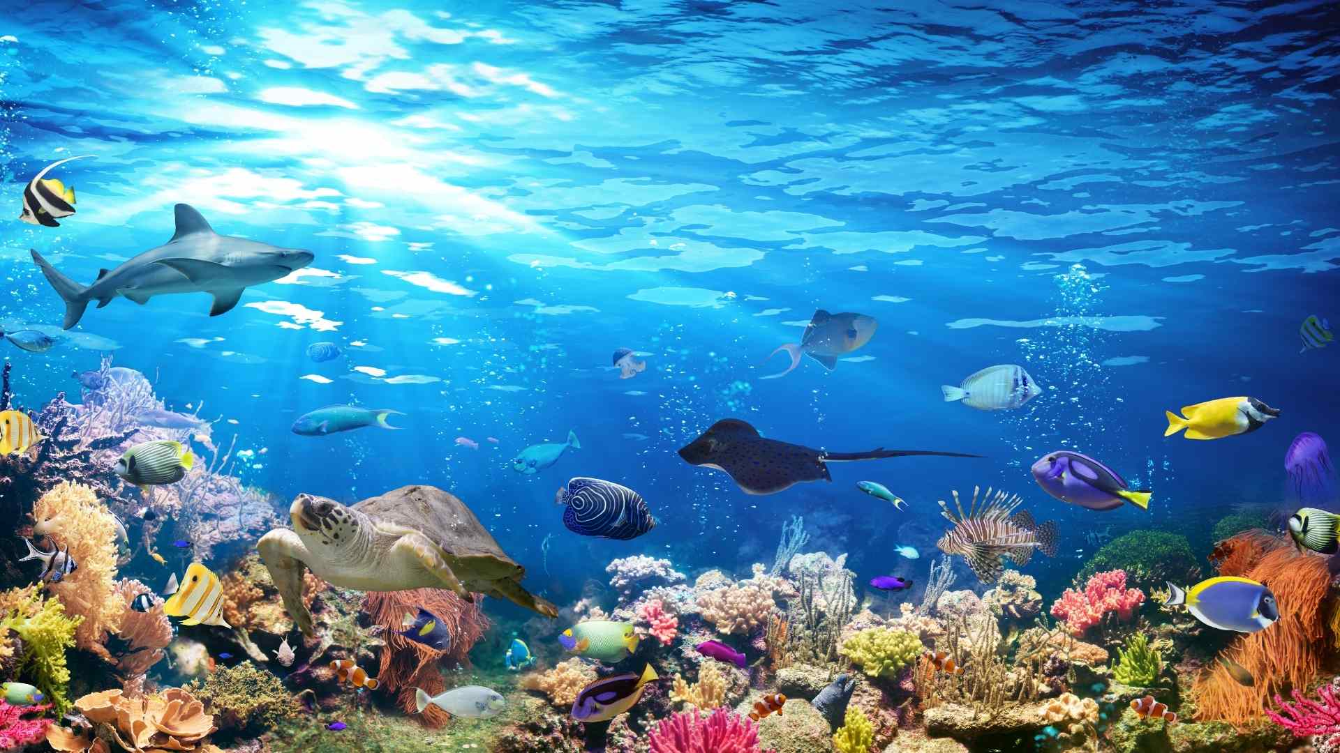 Galway Atlantaquaria | Things To Do in Galway | Claregalway Hotel