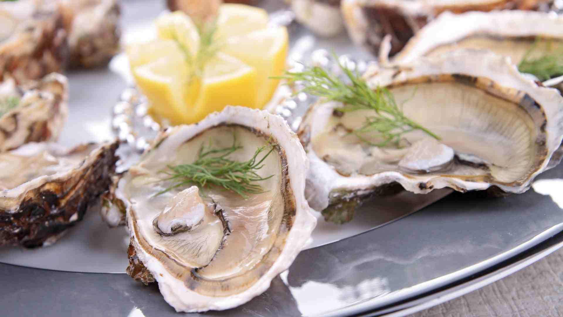 Galway International Oyster Festival | Events | Claregalway Hotel